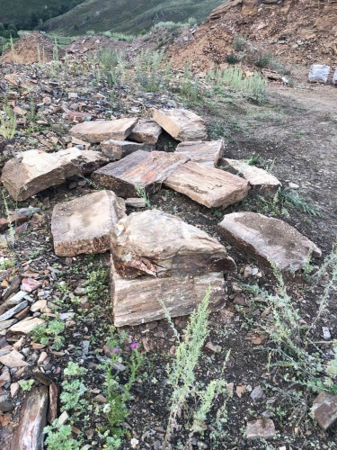 Плитняк кора дерева 50-100мм для пошаговых дорожек купить в Богдановиче